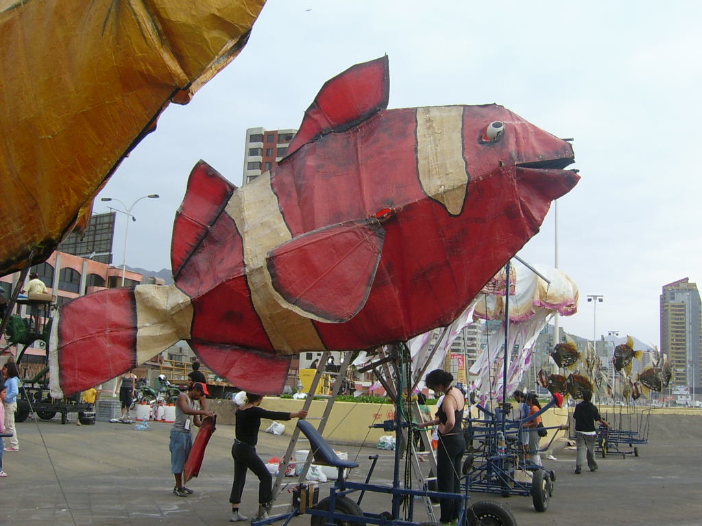 [S3600075.JPG]