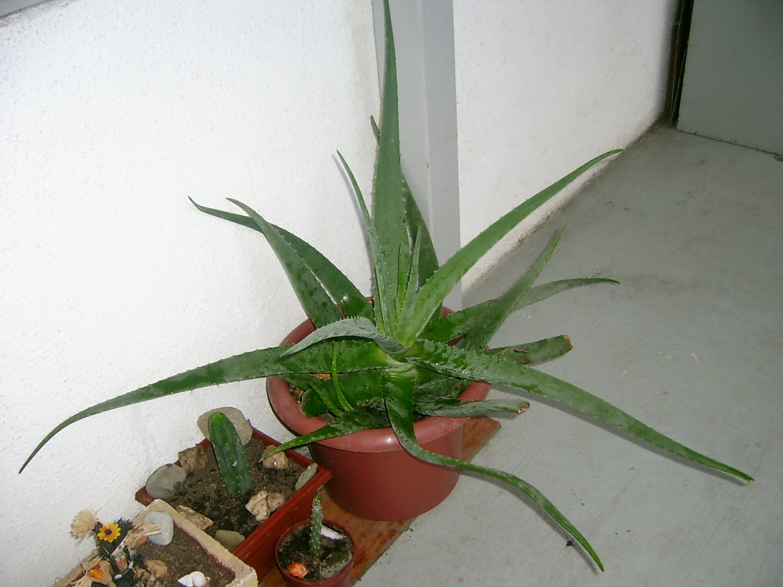 [S3600111.JPG]