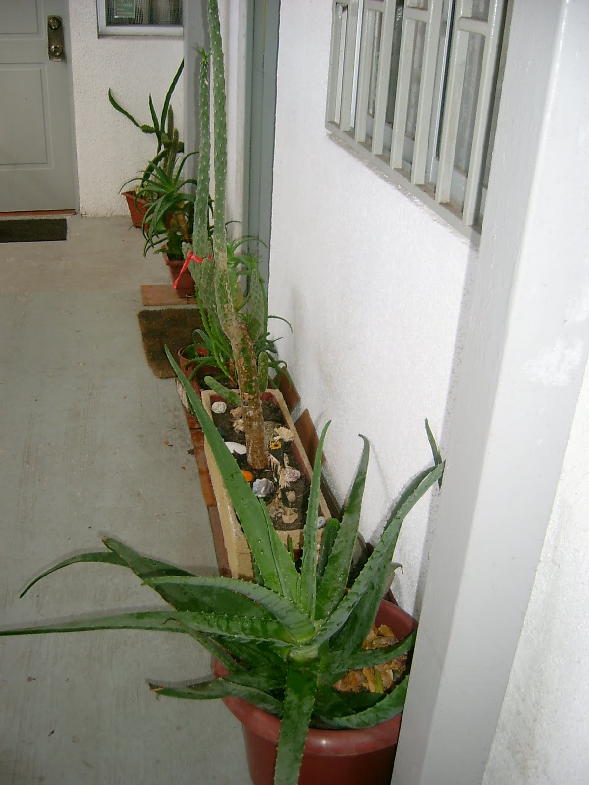 [S3600117.JPG]