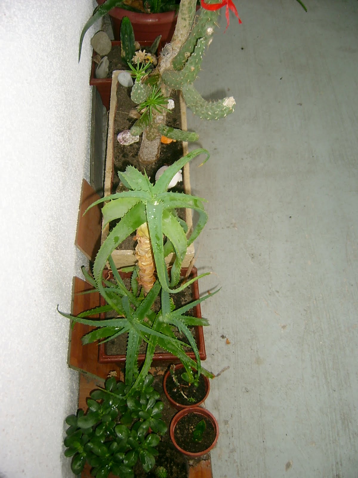 [S3600120.JPG]