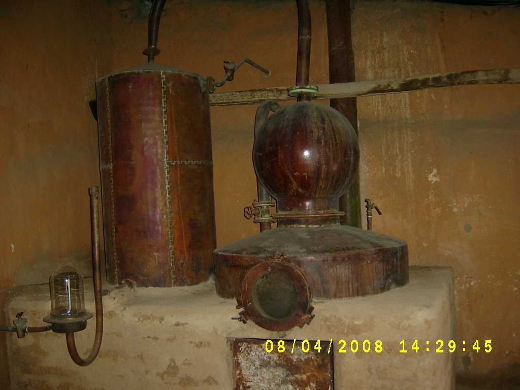 [S3600222.JPG]