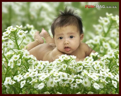 Big Eyes Cute Baby Cute Babies Desktop Wallpapers Cute Baby in Flowers