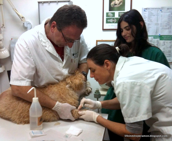 benefits of dating a black man