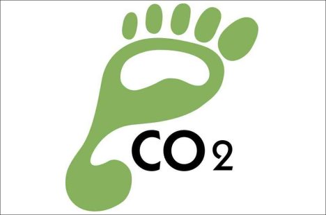 [carbon-footprint-green.jpg]