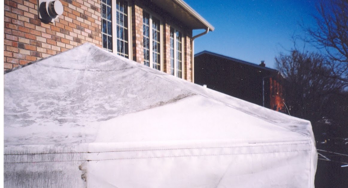 mildew mold