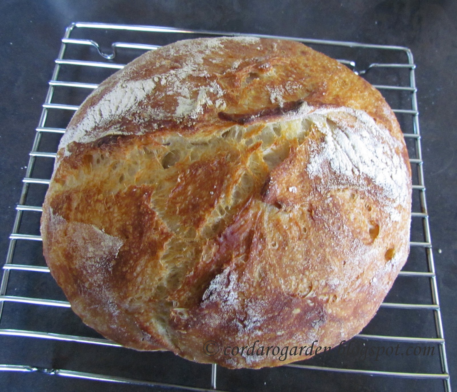 The Gardener of Eden Fresh Baked Bread & Winter Tarragon Tomato Soup