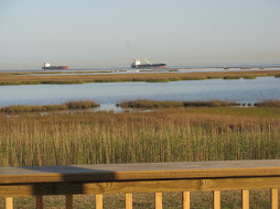 Deck with a view out over the marsh
