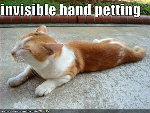funny-pictures-cat-receives-invisible-pettings.jpg