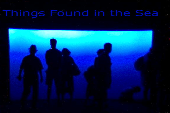Things Found in the Sea