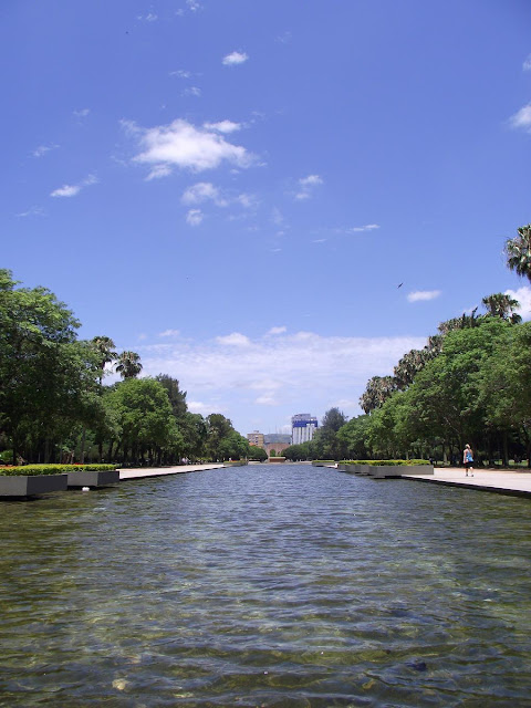 Parque Farroupilha também conhecido como Parque da Redenção em uma bela tarde de sol em Porto Alegre, fotografado pelo blog Vivendo Porto Alegre
