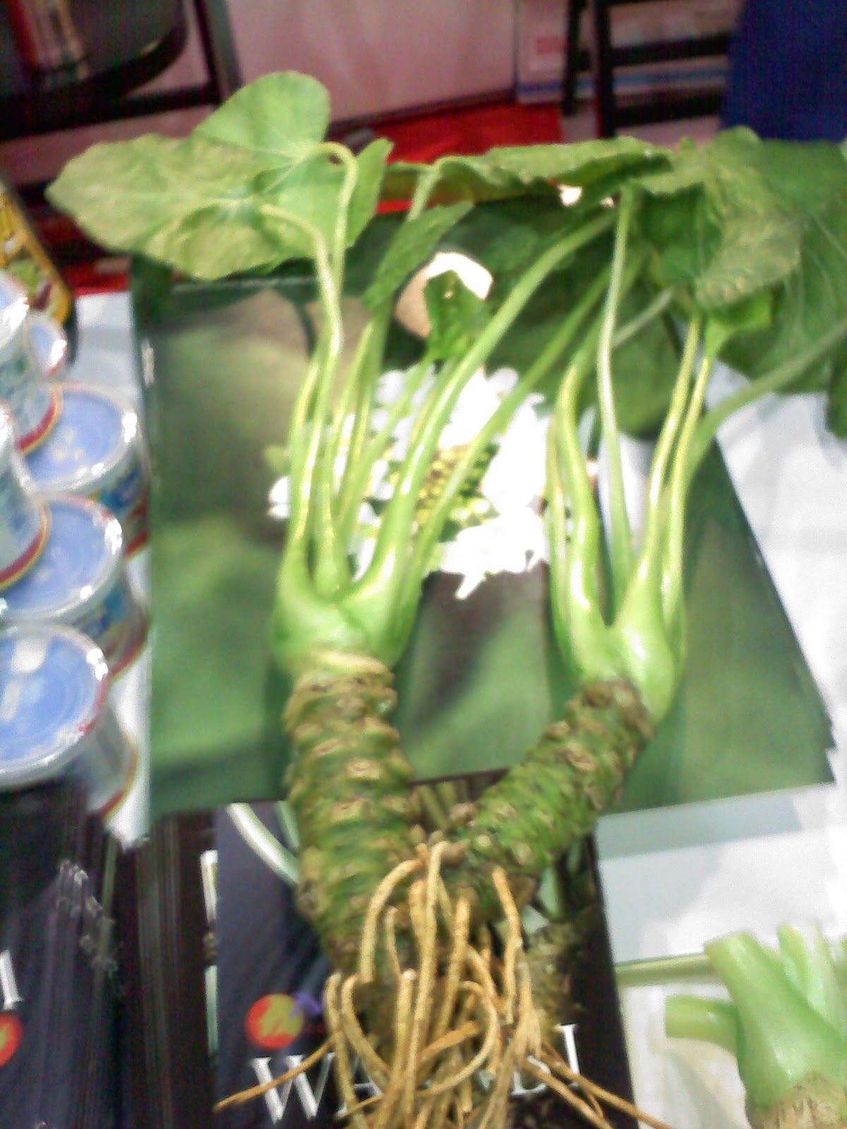 Cecelia Heer's Culinary Corner Wasabi Mashed Potatoes