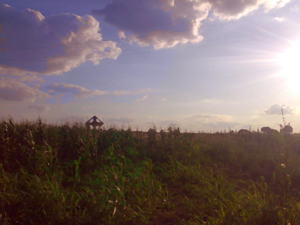 [Lan+de+porumb+Blog+Roncea.jpg]