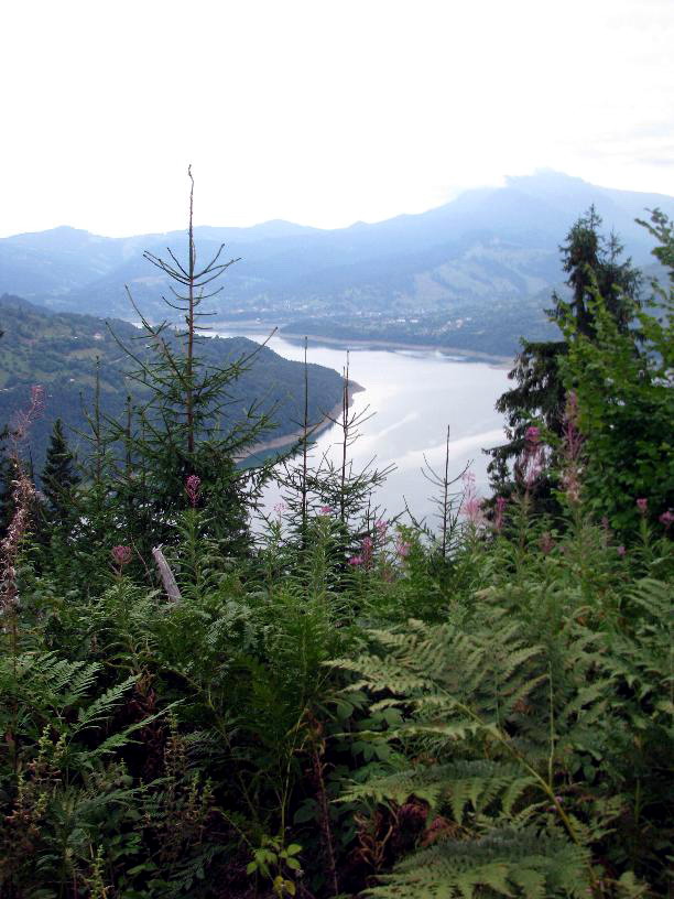 [Muntii+Neamtului+Blog+Roncea+0.jpg]