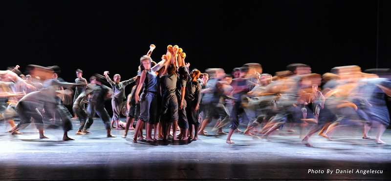 [Pasarea+de+Foc+8_resize.jpg]