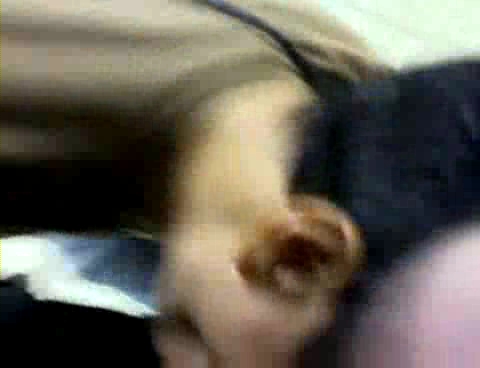 [public+sm+cr+1.flv_000010066.jpg]