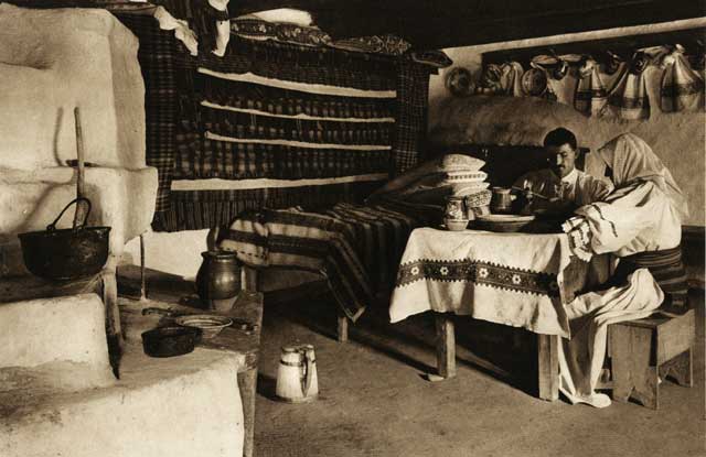 O camera taraneasca din secolul al XIX -lea