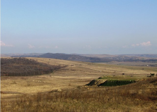 Dealurile inconjuratoare Rogovei