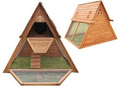 chicken coop designs modern creative eglu chickens backyard movable woot coops toys drew waters designswan