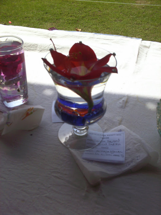 single flower arrangement