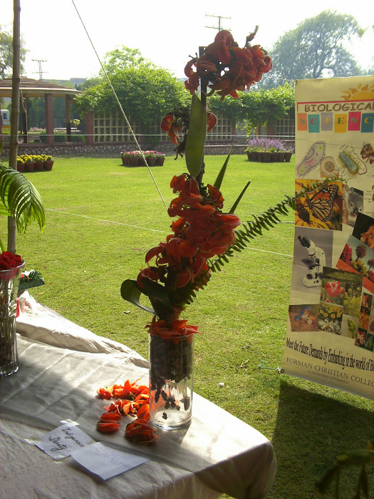 centre table