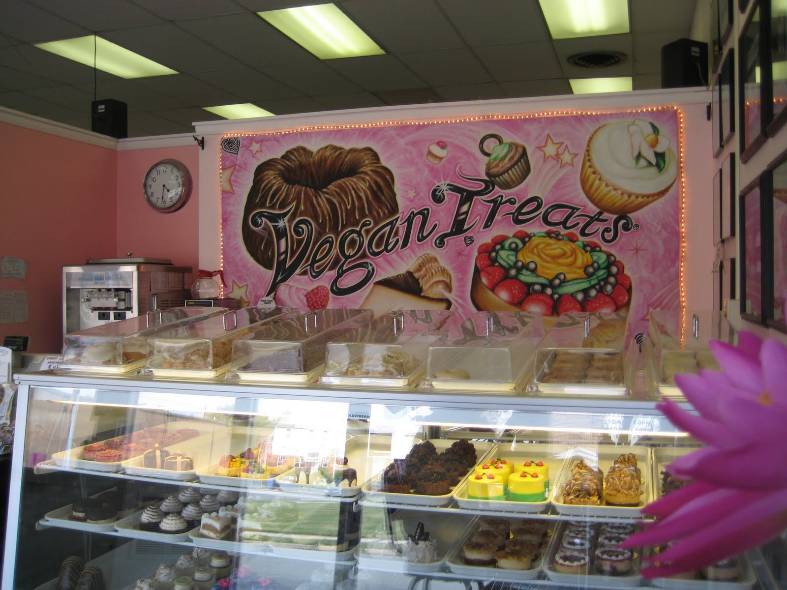 Anytime Vegan Vegan Treats Bakery Review