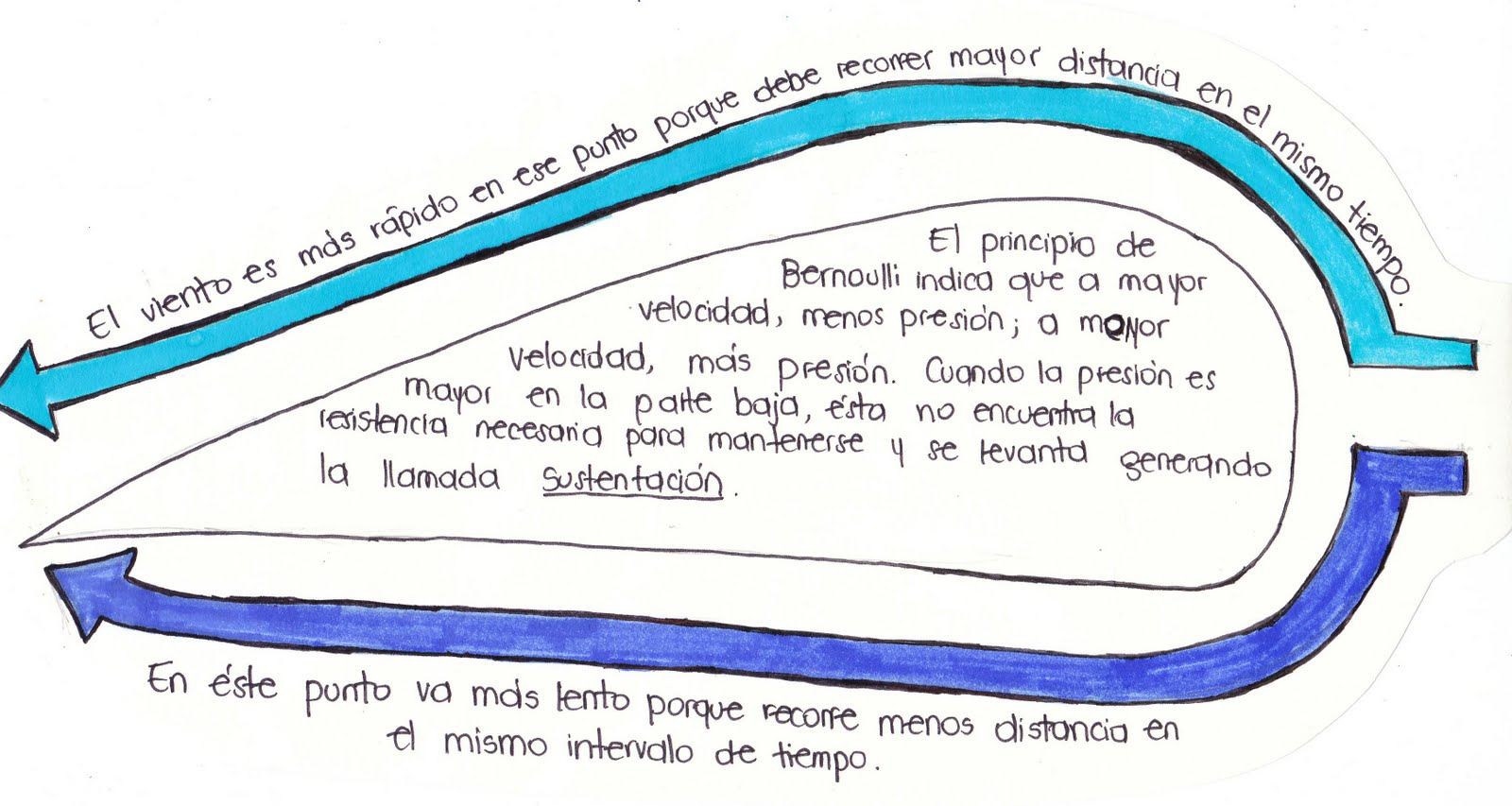 Blind Capsule BOOMERANG