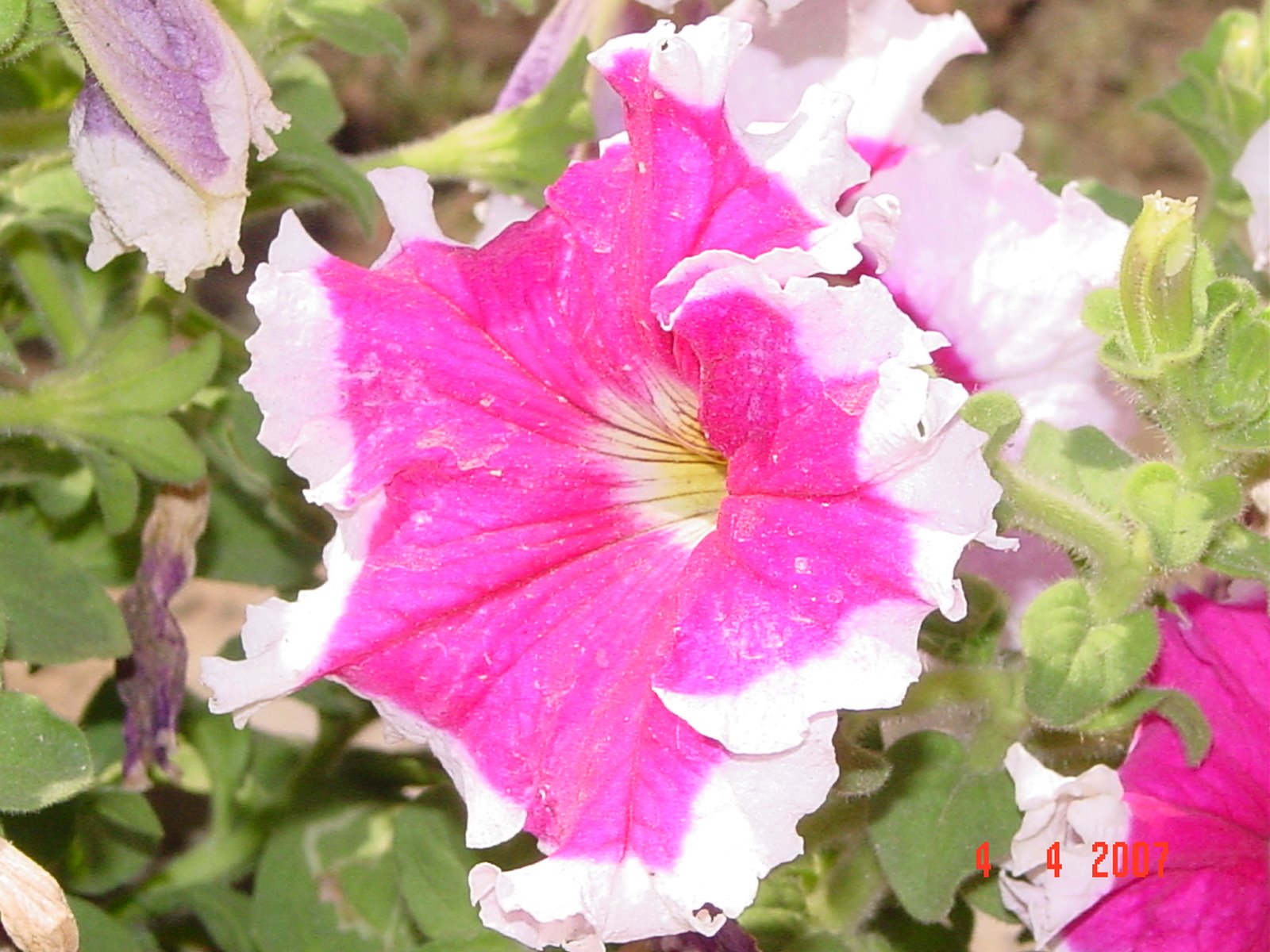 [DSC01376.JPG]