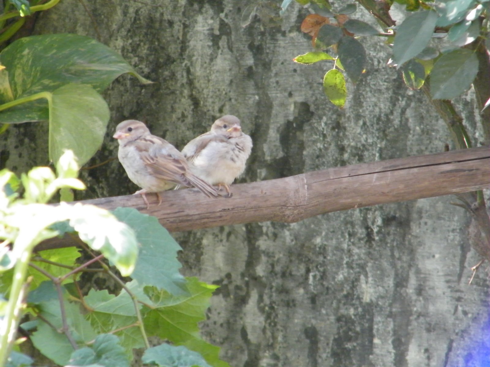 [DSCF0155.jpg]