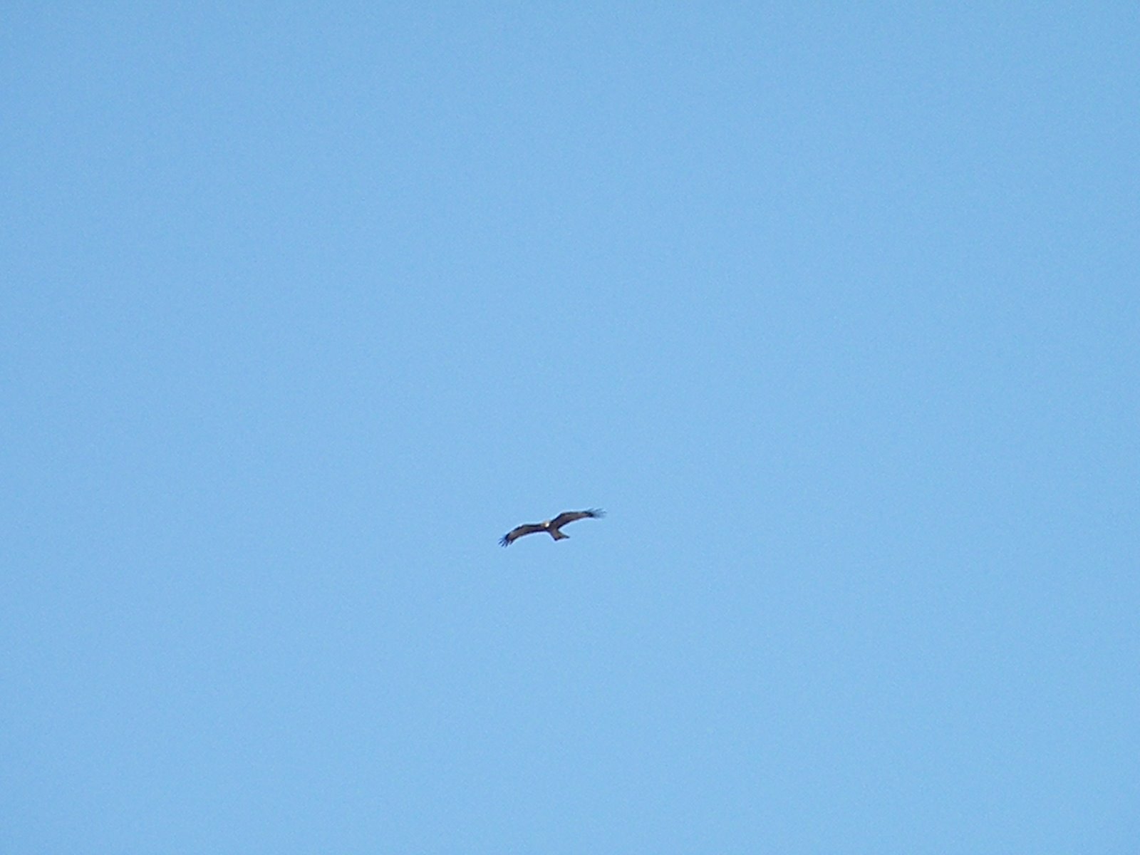 [2009_0621fun0028.JPG]