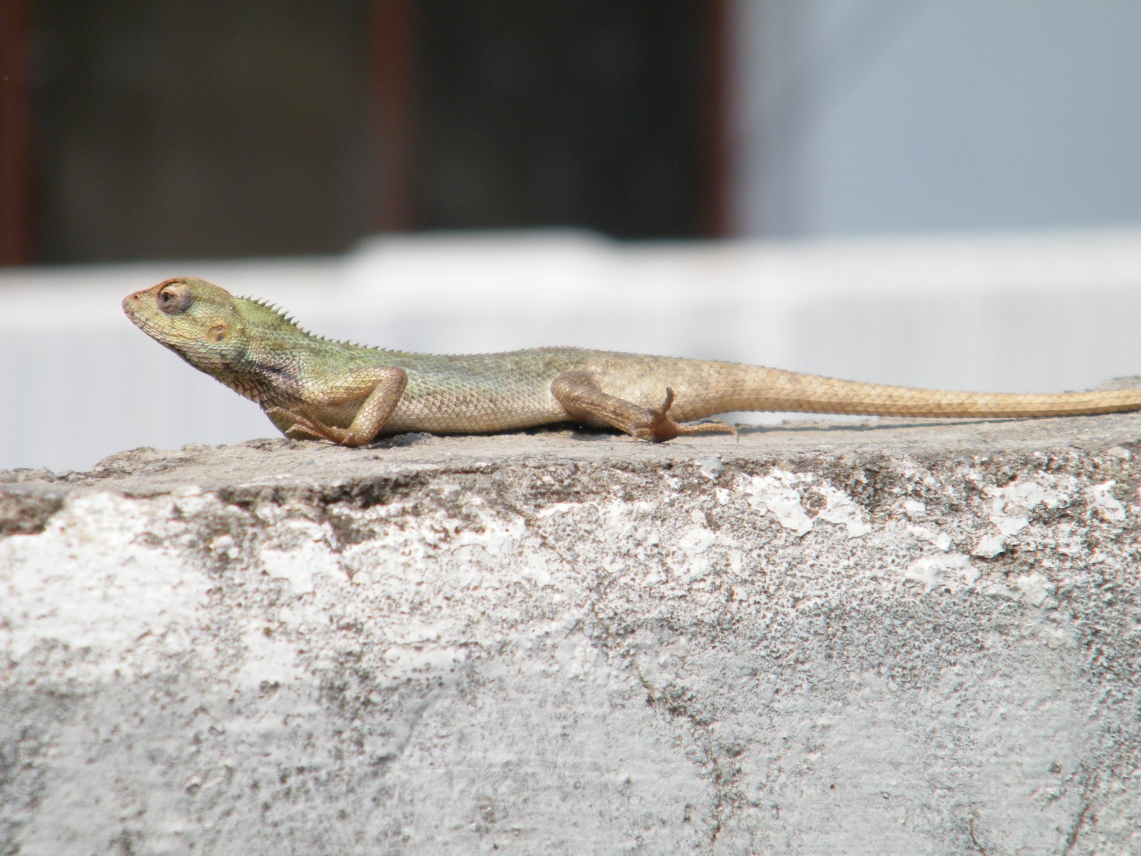 [2009_0704fun0028.JPG]