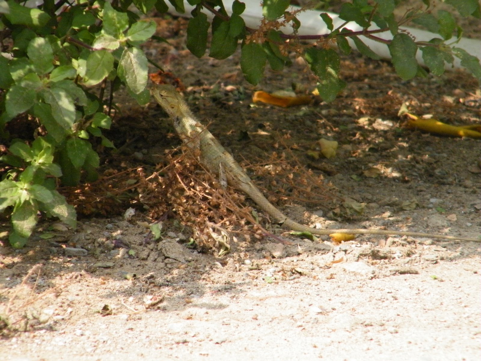 [2009_0704fun0014.JPG]