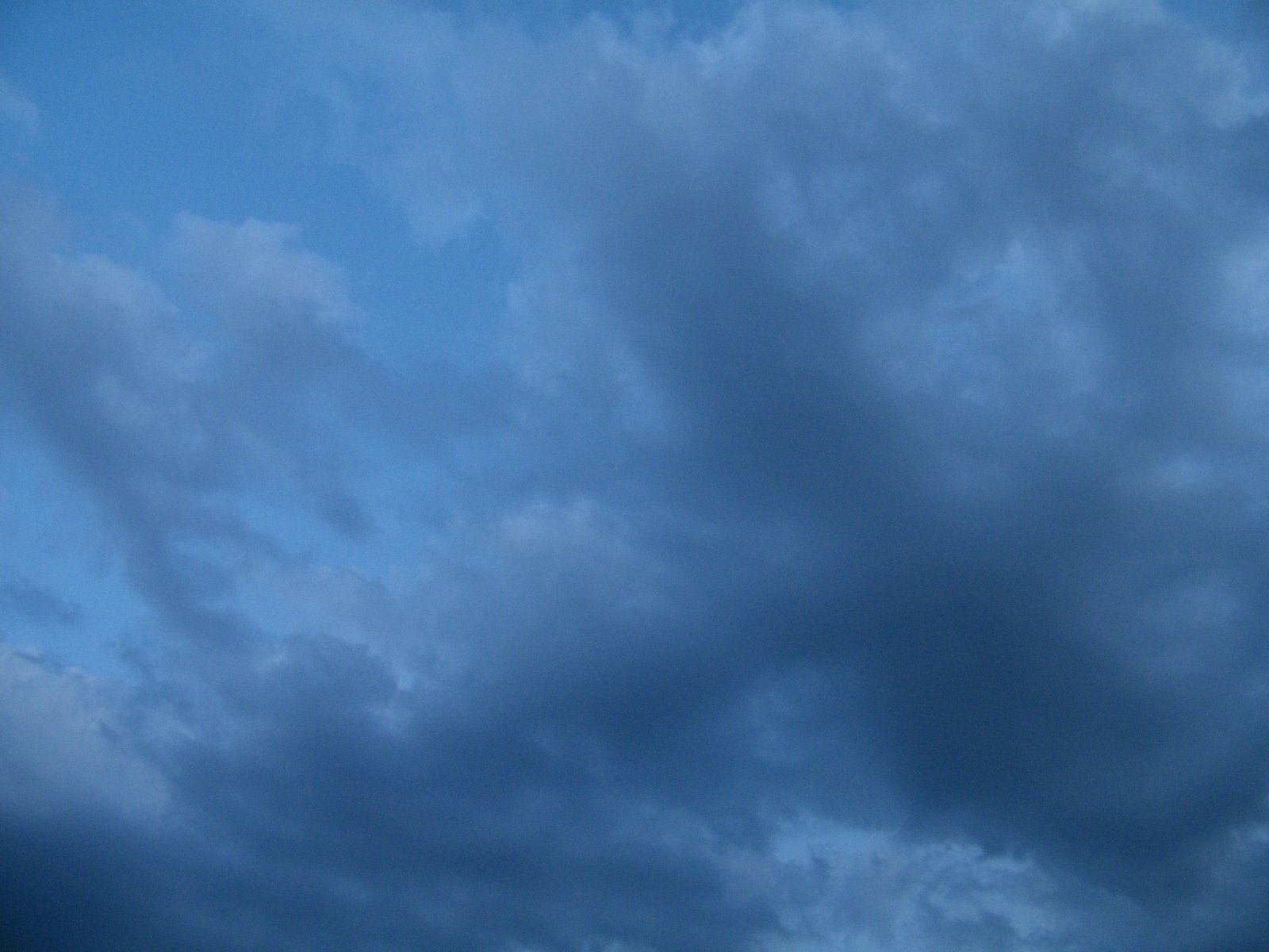 [2009_0711fun0031.JPG]