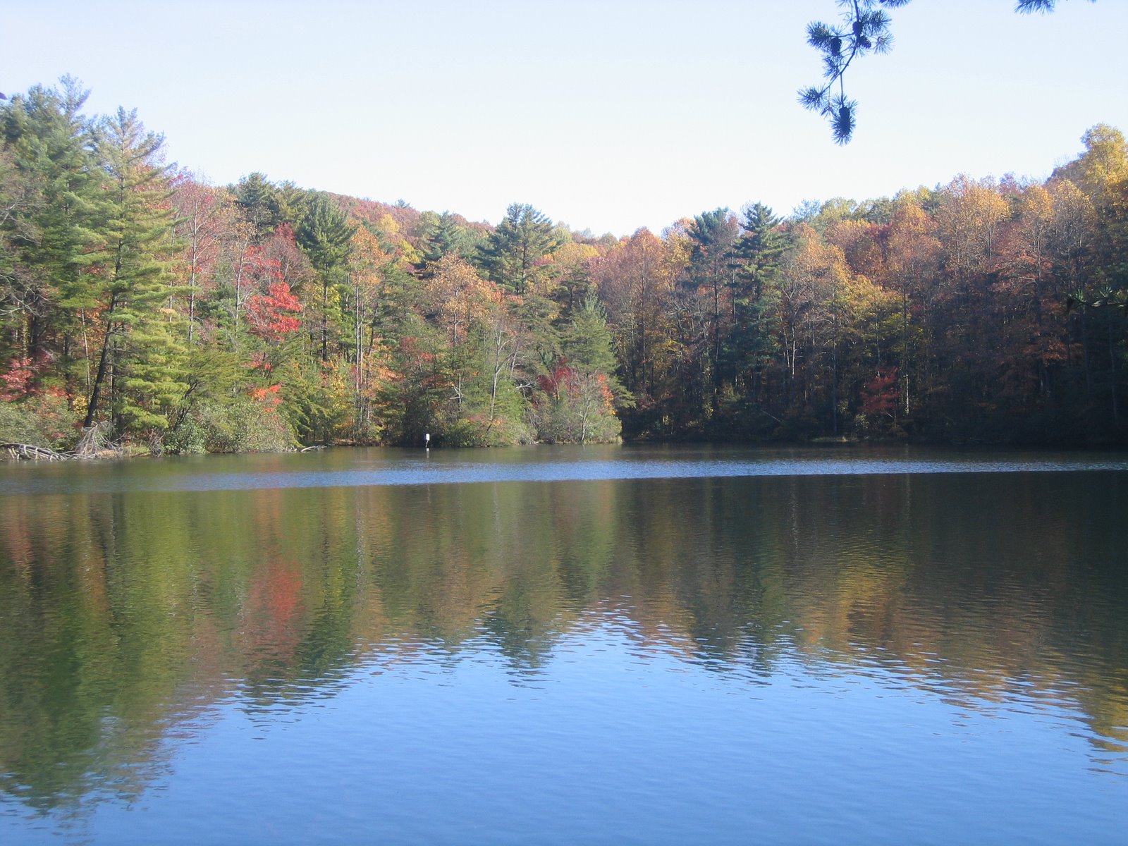 [2006+Oct+North+GA+Mtns+028.jpg]