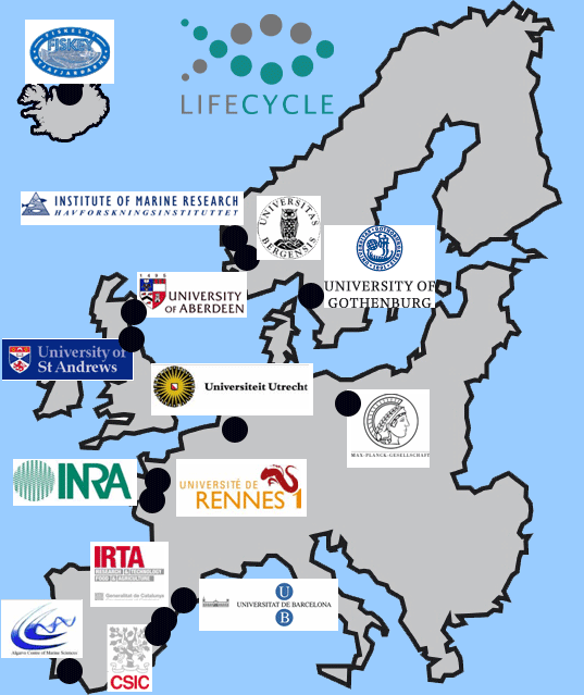 [Lifecycle.carte+gif.gif]