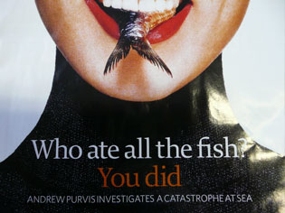 [NAFFO+starter_kit_large.jpg]