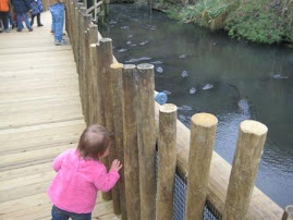 Savannah checking out the gators at St. Augustine's Alligator farm
