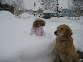 Our first snowstorm - Savannah and Sackee