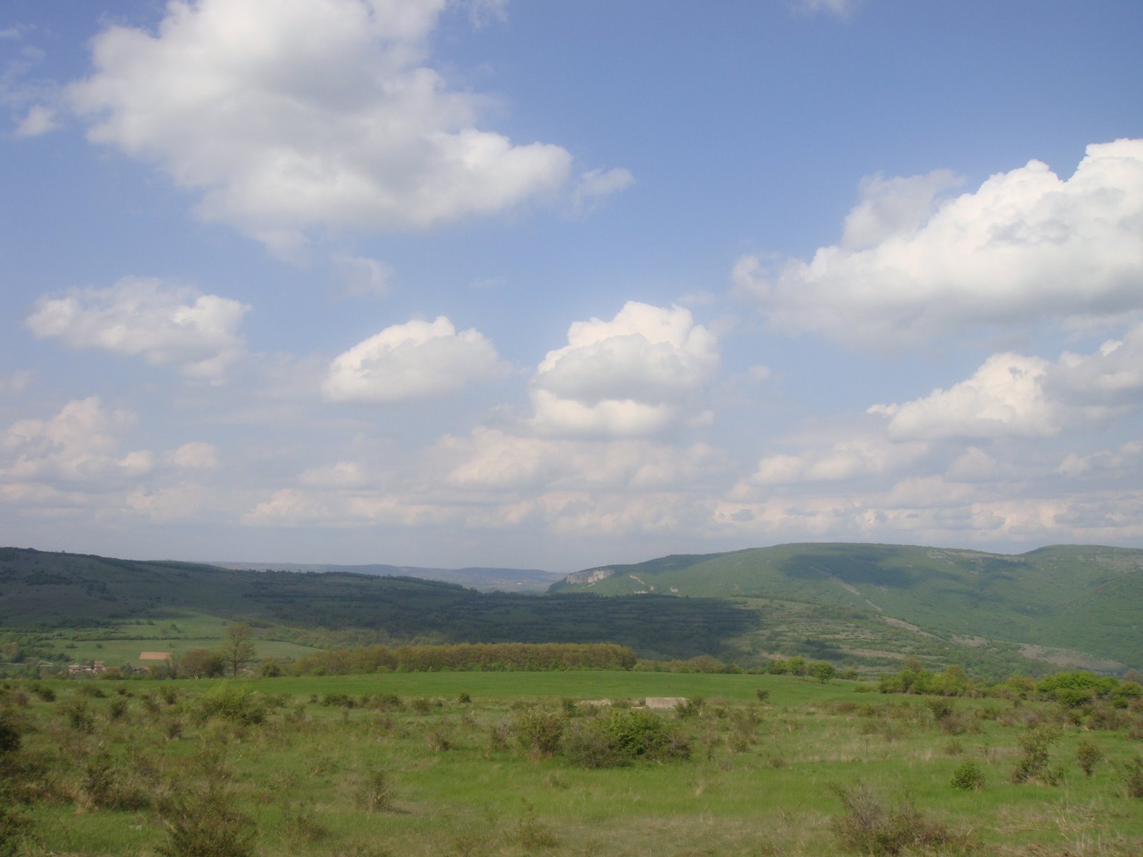 [DSC00667.JPG]