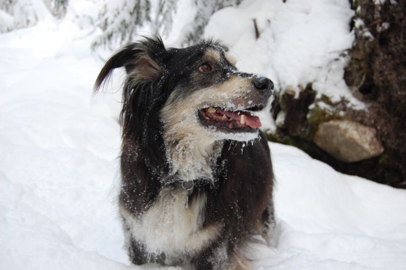[SnowLove.jpg]