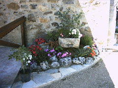 jardinera con bonsai