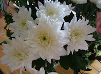 white chrysanthemums