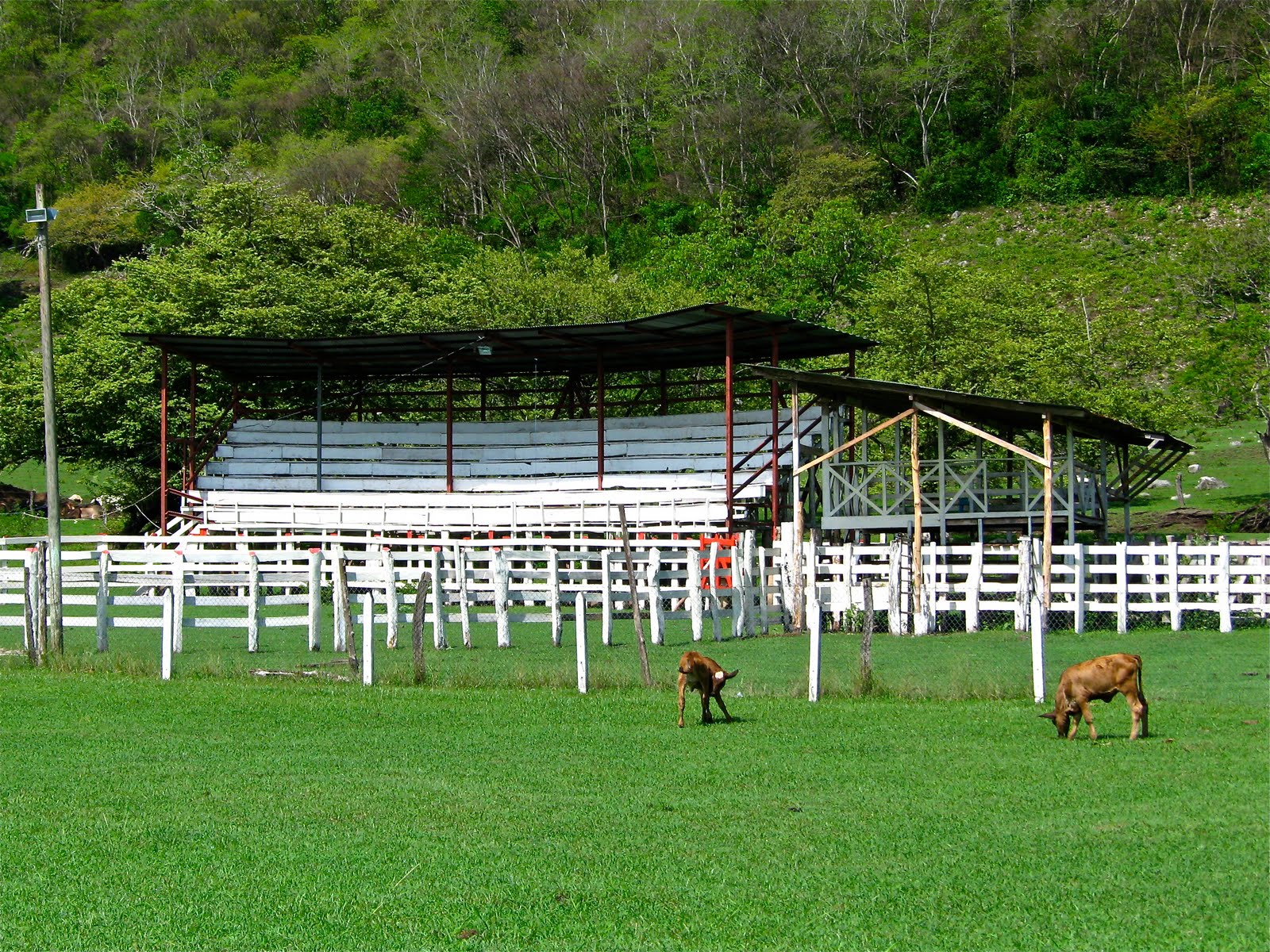 Tamarindo, Costa Rica Daily Photo Village Rodeo Grounds