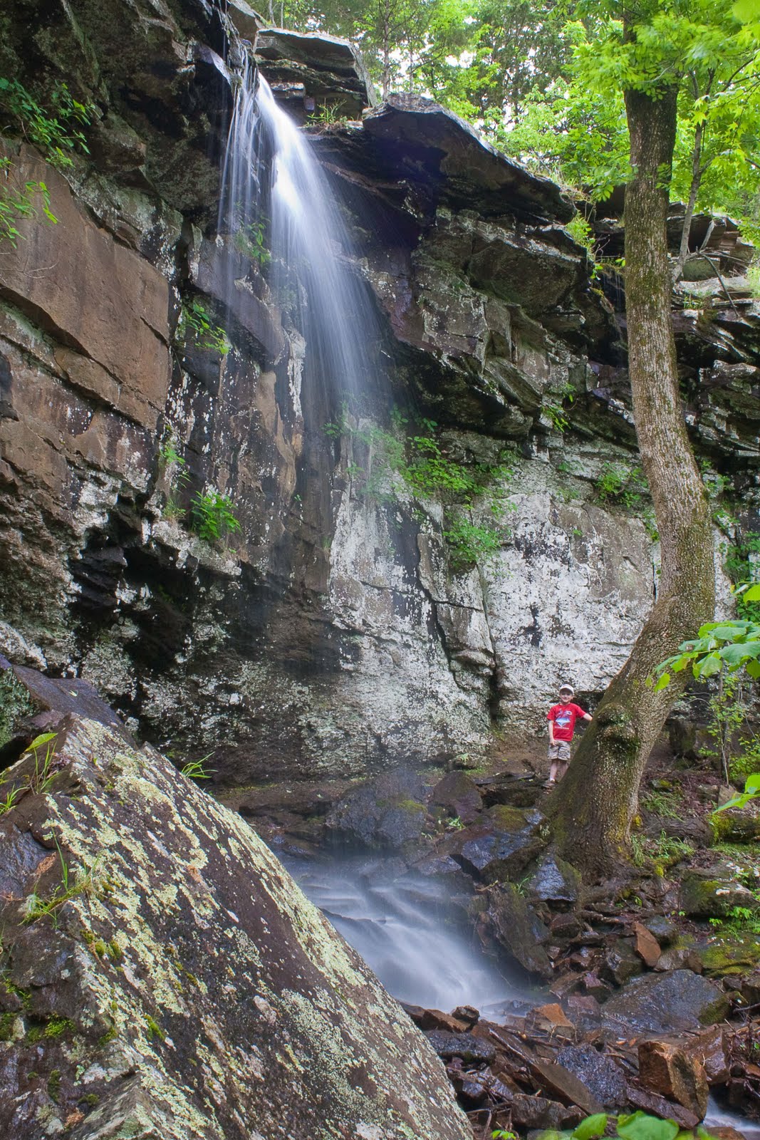 Waterfall Hunting 52 Mount Nebo Falls