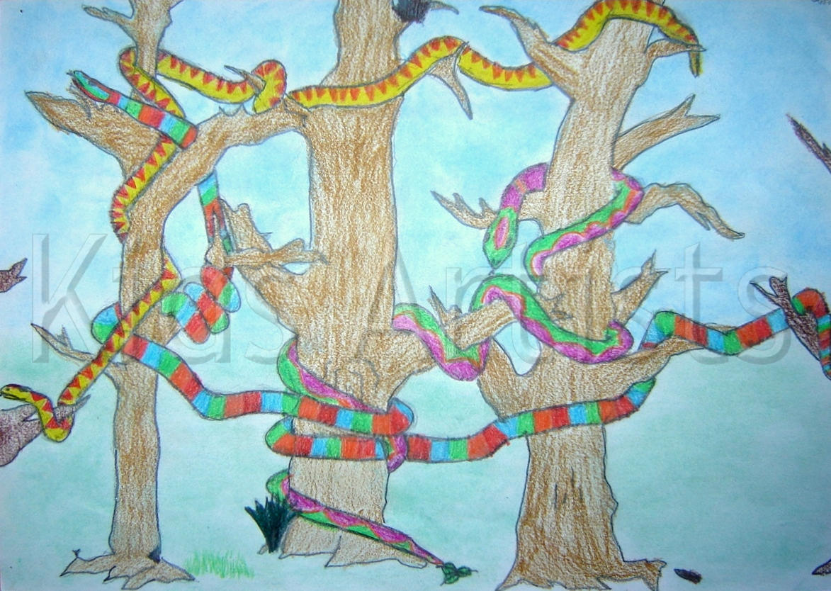 [Bart+groep+8+wm.jpg]