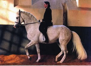 Alaska Project Pony: My Inspiration