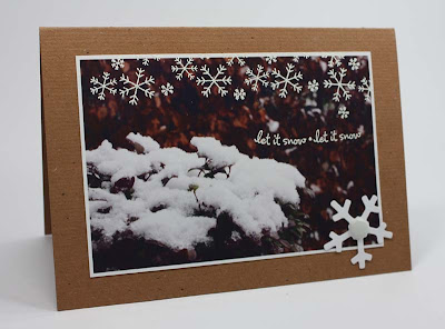 winter photo card