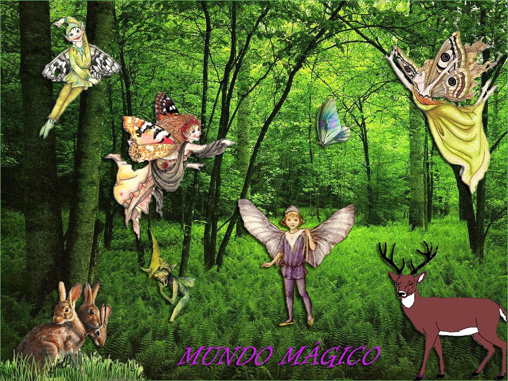 Mundo Mágico EL Bosque Encantado