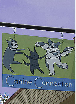 [CanineConnection.jpg]