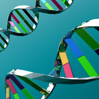 [DNA_genomes.jpg]