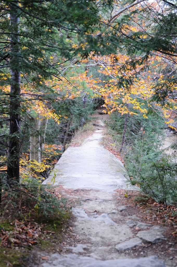 Escape to Nature's Embrace: Your Guide to Indiana's Hidden Gem, [State Park Name]
